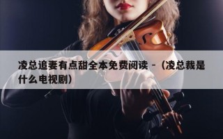 凌总追妻有点甜全本免费阅读 -（凌总裁是什么电视剧）