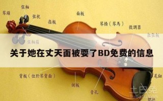 关于她在丈天面被耍了BD免费的信息