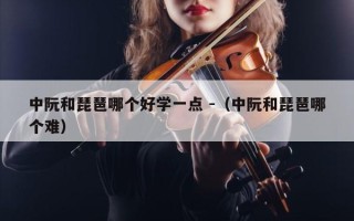 中阮和琵琶哪个好学一点 -（中阮和琵琶哪个难）