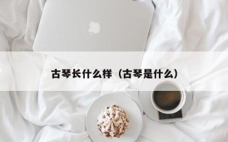 古琴长什么样（古琴是什么）