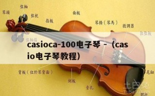 casioca-100电子琴 -（casio电子琴教程）