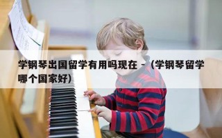 学钢琴出国留学有用吗现在 -（学钢琴留学哪个国家好）