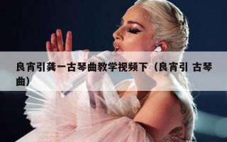 良宵引龚一古琴曲教学视频下（良宵引 古琴曲）