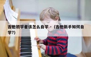 吉他初学者该怎么自学 -（吉他新手如何自学?）