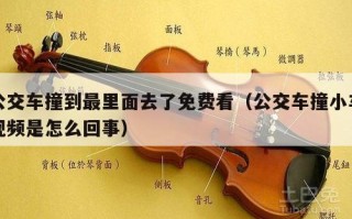 公交车撞到最里面去了免费看（公交车撞小车视频是怎么回事）