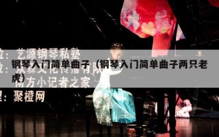 钢琴入门简单曲子（钢琴入门简单曲子两只老虎）