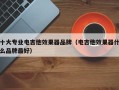 十大专业电吉他效果器品牌（电吉他效果器什么品牌最好）