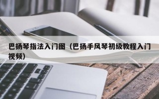 巴扬琴指法入门图（巴扬手风琴初级教程入门视频）