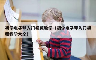 初学电子琴入门视频教学（初学电子琴入门视频教学大全）