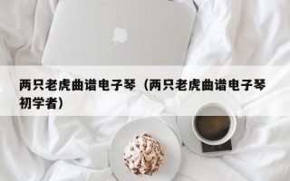 两只老虎曲谱电子琴（两只老虎曲谱电子琴 初学者）