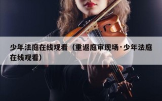 少年法庭在线观看（重返庭审现场·少年法庭在线观看）