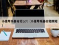 小提琴乐器介绍ppt（小提琴乐器介绍简短）