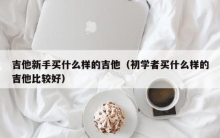 吉他新手买什么样的吉他（初学者买什么样的吉他比较好）