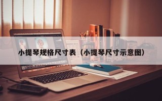 小提琴规格尺寸表（小提琴尺寸示意图）