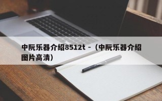 中阮乐器介绍8512t -（中阮乐器介绍图片高清）