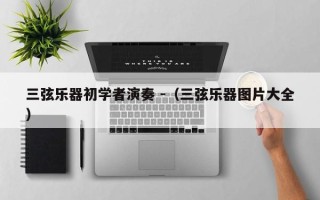 三弦乐器初学者演奏 -（三弦乐器图片大全）