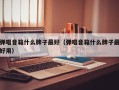 弹唱音箱什么牌子最好（弹唱音箱什么牌子最好用）