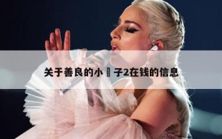 关于善良的小峓子2在钱的信息