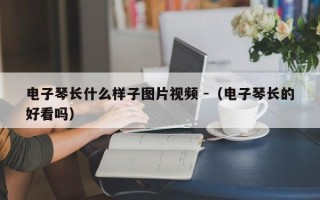 电子琴长什么样子图片视频 -（电子琴长的好看吗）