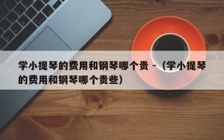 学小提琴的费用和钢琴哪个贵 -（学小提琴的费用和钢琴哪个贵些）