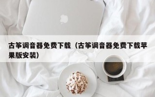 古筝调音器免费下载（古筝调音器免费下载苹果版安装）