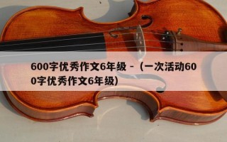 600字优秀作文6年级 -（一次活动600字优秀作文6年级）