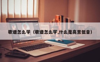 歌谱怎么学（歌谱怎么学,什么是高意低音）