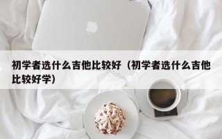 初学者选什么吉他比较好（初学者选什么吉他比较好学）