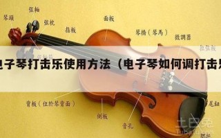 电子琴打击乐使用方法（电子琴如何调打击乐）