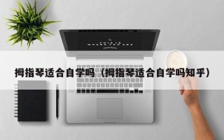 拇指琴适合自学吗（拇指琴适合自学吗知乎）