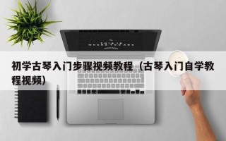 初学古琴入门步骤视频教程（古琴入门自学教程视频）