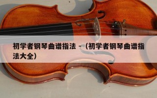 初学者钢琴曲谱指法 -（初学者钢琴曲谱指法大全）