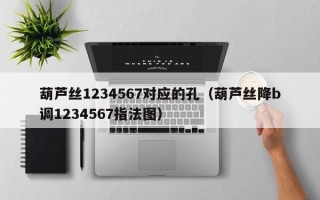 葫芦丝1234567对应的孔（葫芦丝降b调1234567指法图）