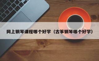 网上钢琴课程哪个好学（古筝钢琴哪个好学）