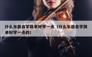 什么乐器自学简单好学一点（什么乐器自学简单好学一点的）