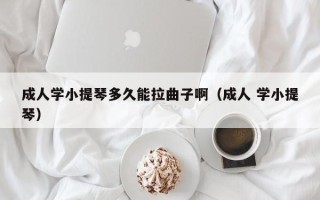 成人学小提琴多久能拉曲子啊（成人 学小提琴）