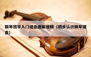 钢琴初学入门键盘图解视频（初步认识钢琴键盘）