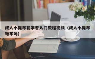 成人小提琴初学者入门教程视频（成人小提琴难学吗）