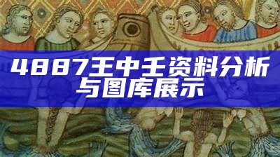 4887王中壬资料分析与图库展示