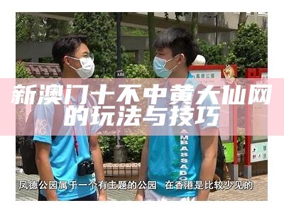 新澳门十不中黄大仙网的玩法与技巧