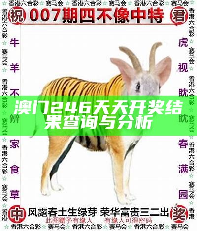 澳门246天天开奖结果查询与分析