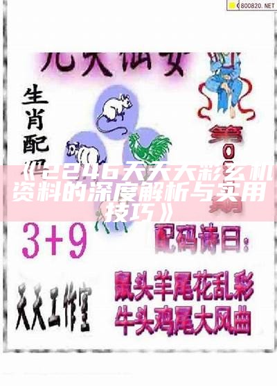 《2246天天天彩玄机资料的深度解析与实用技巧》