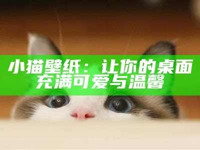 小猫壁纸：让你的桌面充满可爱与温馨