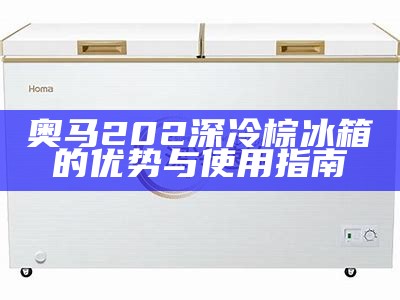 奥马202深冷棕冰箱的优势与使用指南