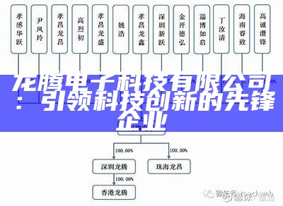 龙腾电子科技有限公司：引领科技创新的先锋企业