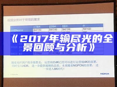 《2017年输尽光的全景回顾与分析》