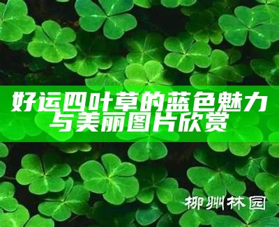 好运四叶草的蓝色魅力与美丽图片欣赏