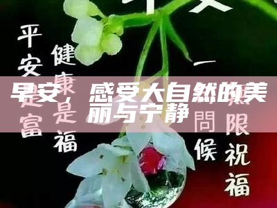 早安，感受大自然的美丽与宁静