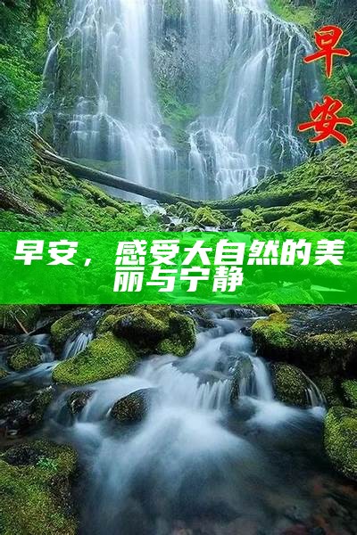 早安，感受大自然的美丽与宁静