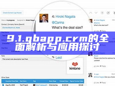 9.1.gbapp.crm的全面解析与应用探讨